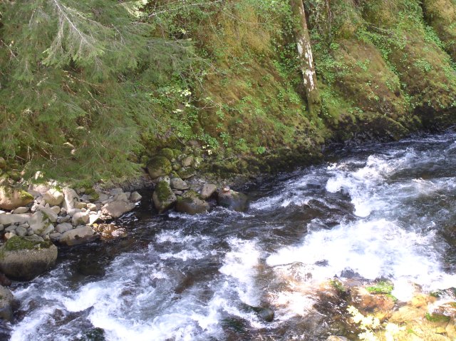 5.5.06 Eagle Creek 080 